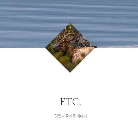 태상의 미니샵 바로가기, 타운하우스 라이프 정보의 보고