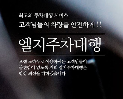 엘지주차대행 - 김포공항 주차대행의 새로운 기준.