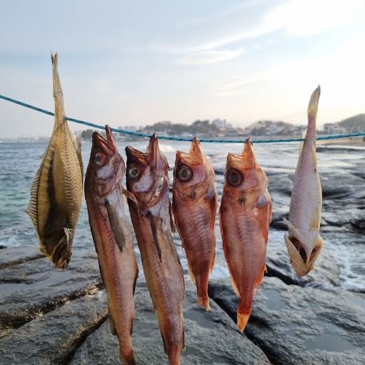 강원도의 풍미, 속초사이버장터에서 반건조생선을 만나보세요!